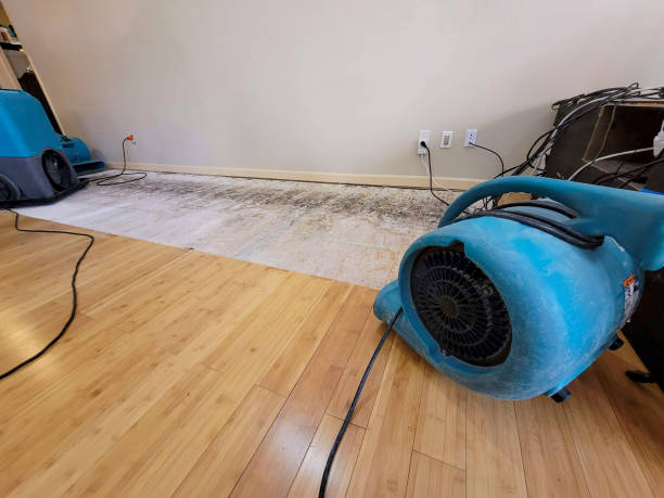 Professional Flood Damage Cleanup technician working in Heber City, UT